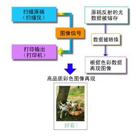 扫描原理 扫描原理